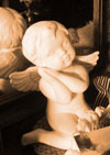 aniolsepia